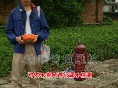 供水管网漏水检测(图2)