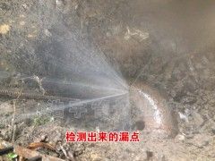 供水管网漏水检测(图4)